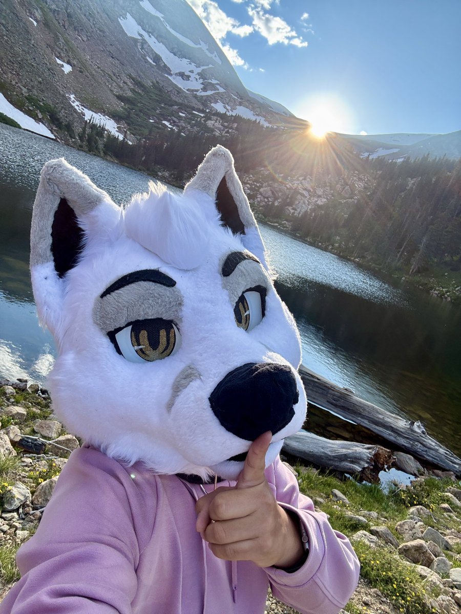 ❄️🦊Räven 🔜 FWA tweet media