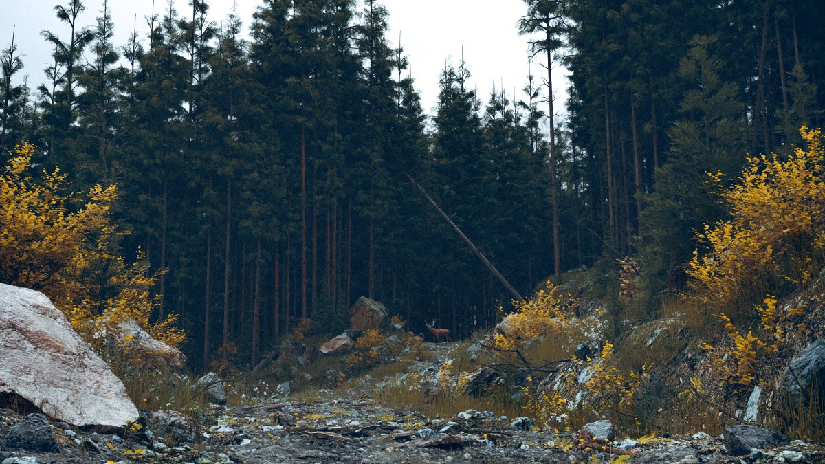 Calder Moore tweet media