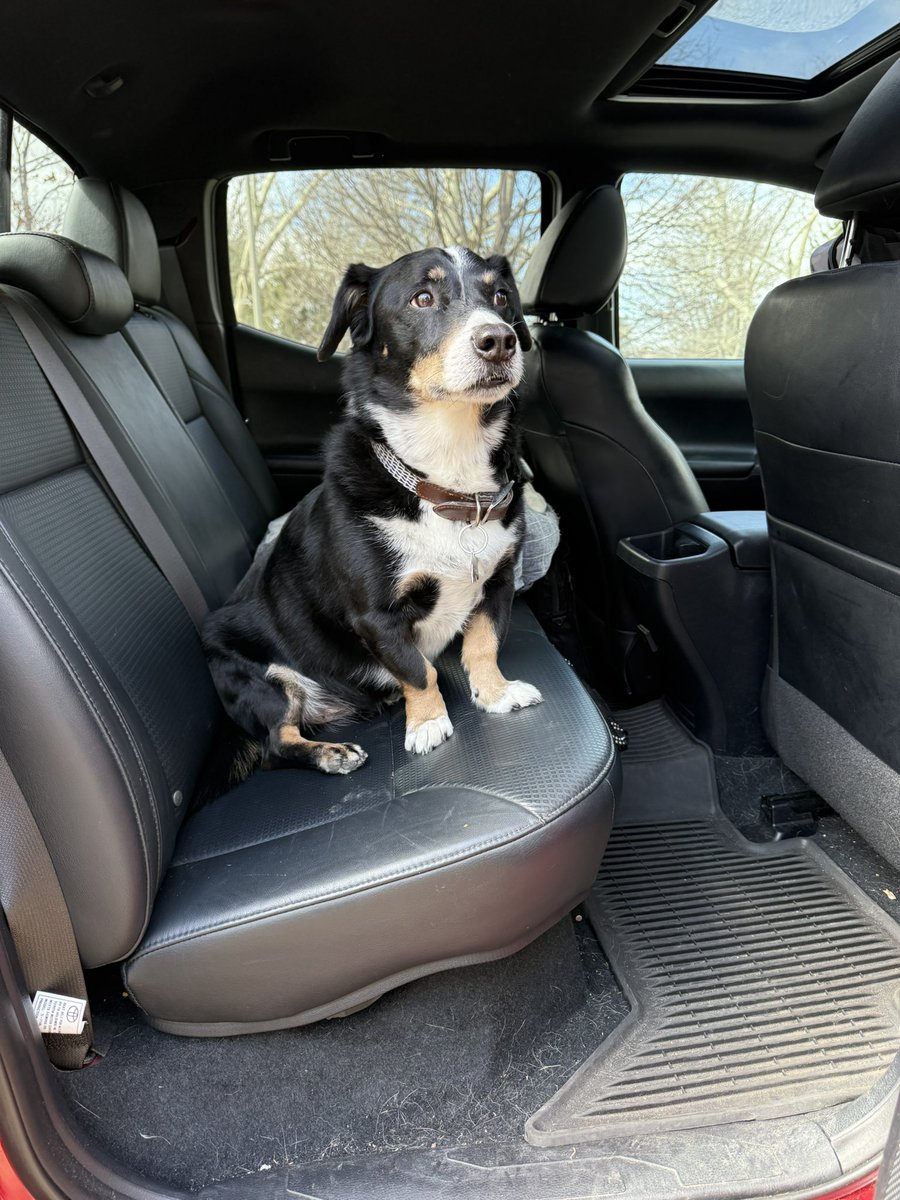 norf 🫠 tweet media