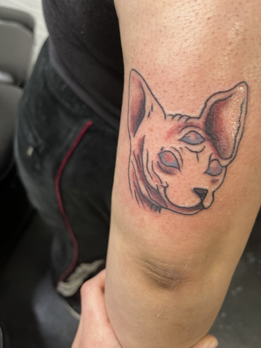 i forgot that i had a twitter 💀💀💀 anyway hello hello, got a new tattoo a few days ago and in a few weeks i'm getting another tattoo 🤭🤭