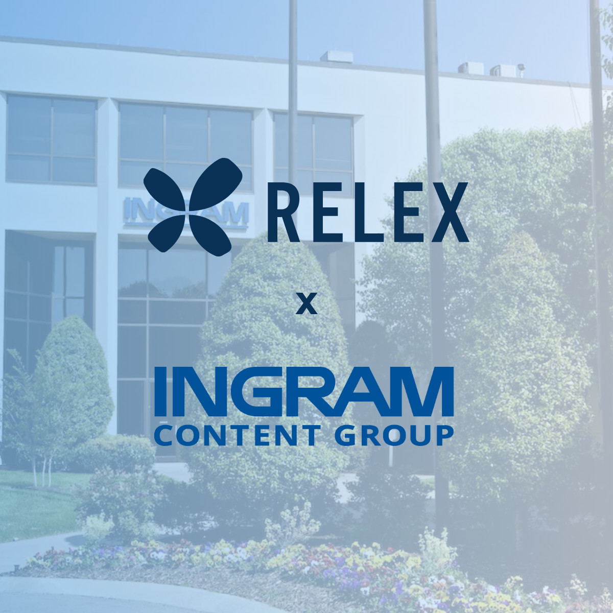 David Marcos tweet media