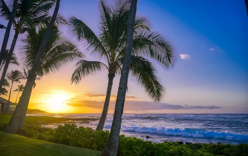 Recommend Magazine tweet media