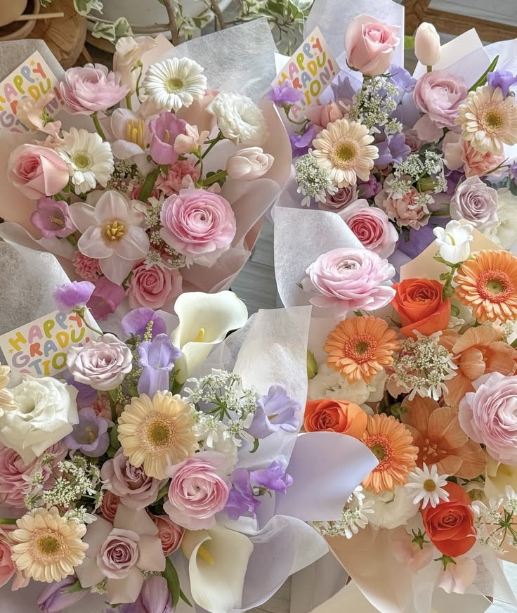 softpetalview's tweet photo. https://t.co/n9xZKL7XEM
