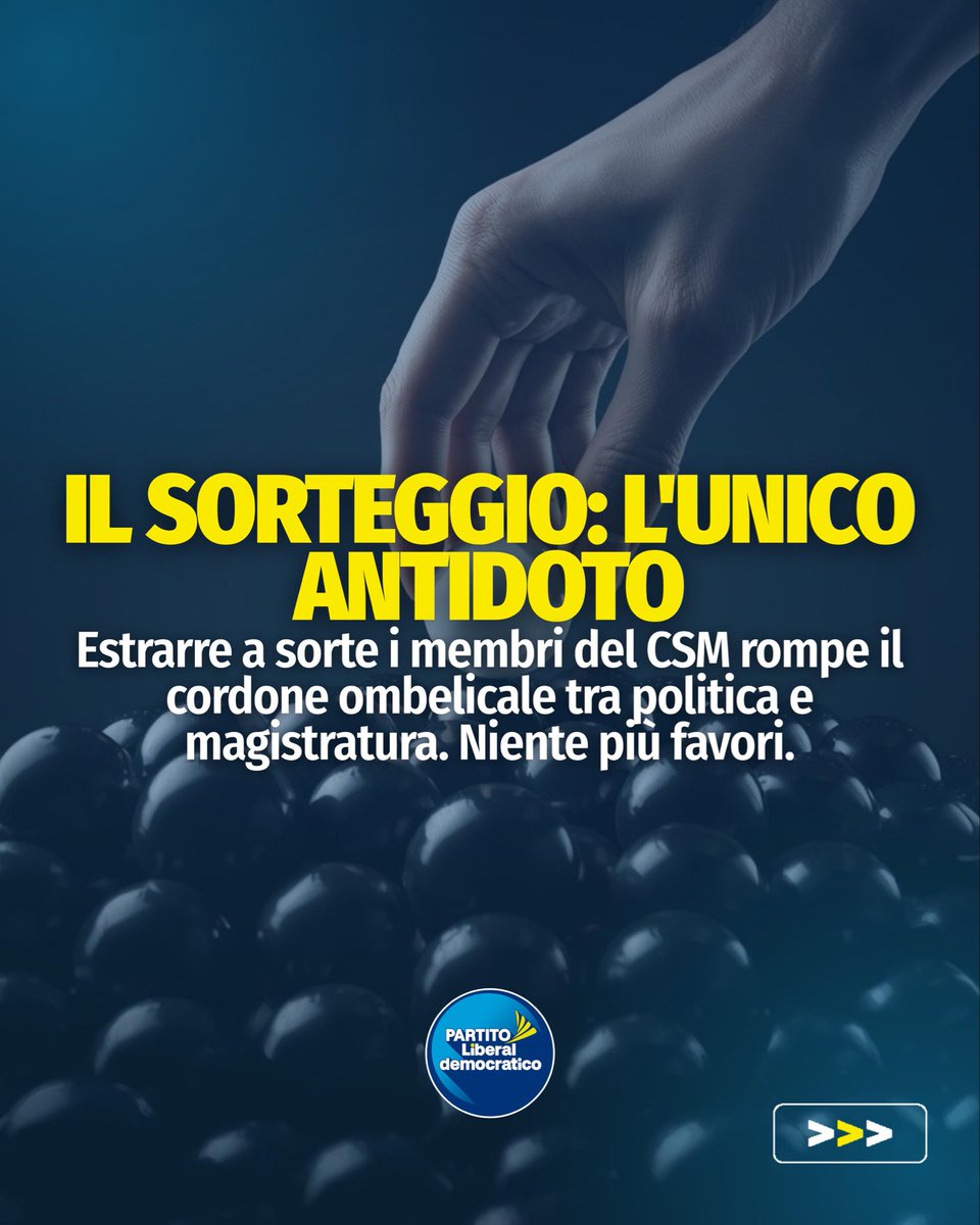 Partito Liberaldemocratico tweet media