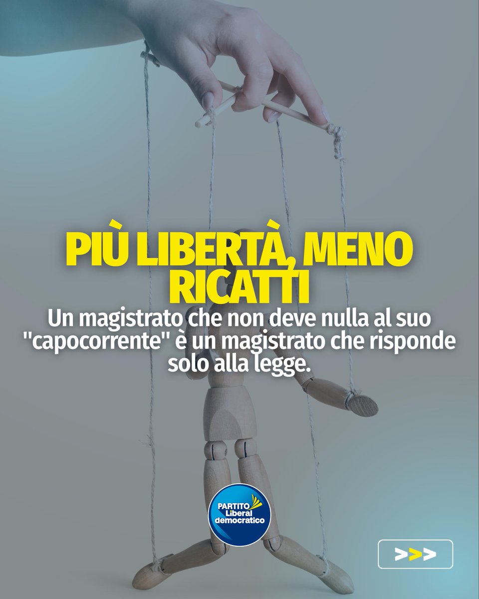 Partito Liberaldemocratico tweet media