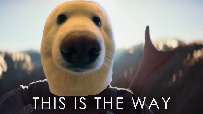 Reso Tap tweet media