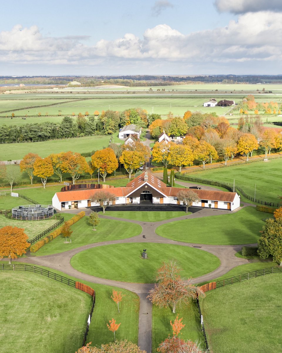 DiscoverNKT tweet media