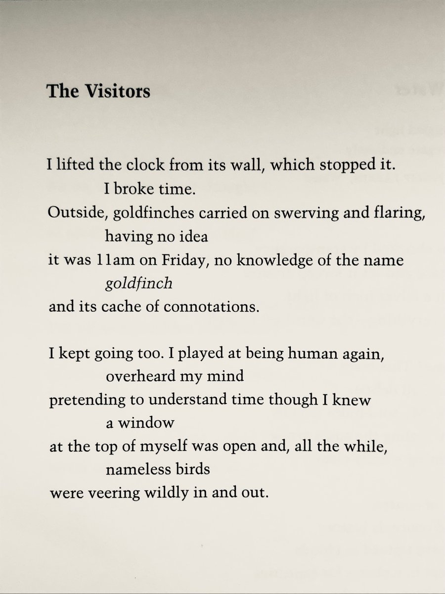 John McCullough 🏳️‍🌈 tweet media