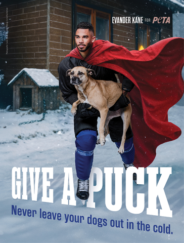 Rob Williams tweet media