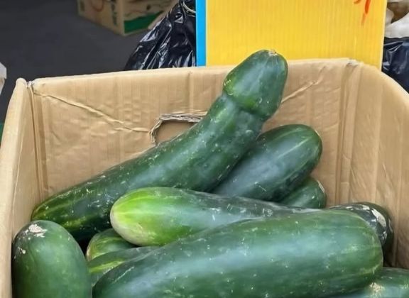 Sergio A. tweet media