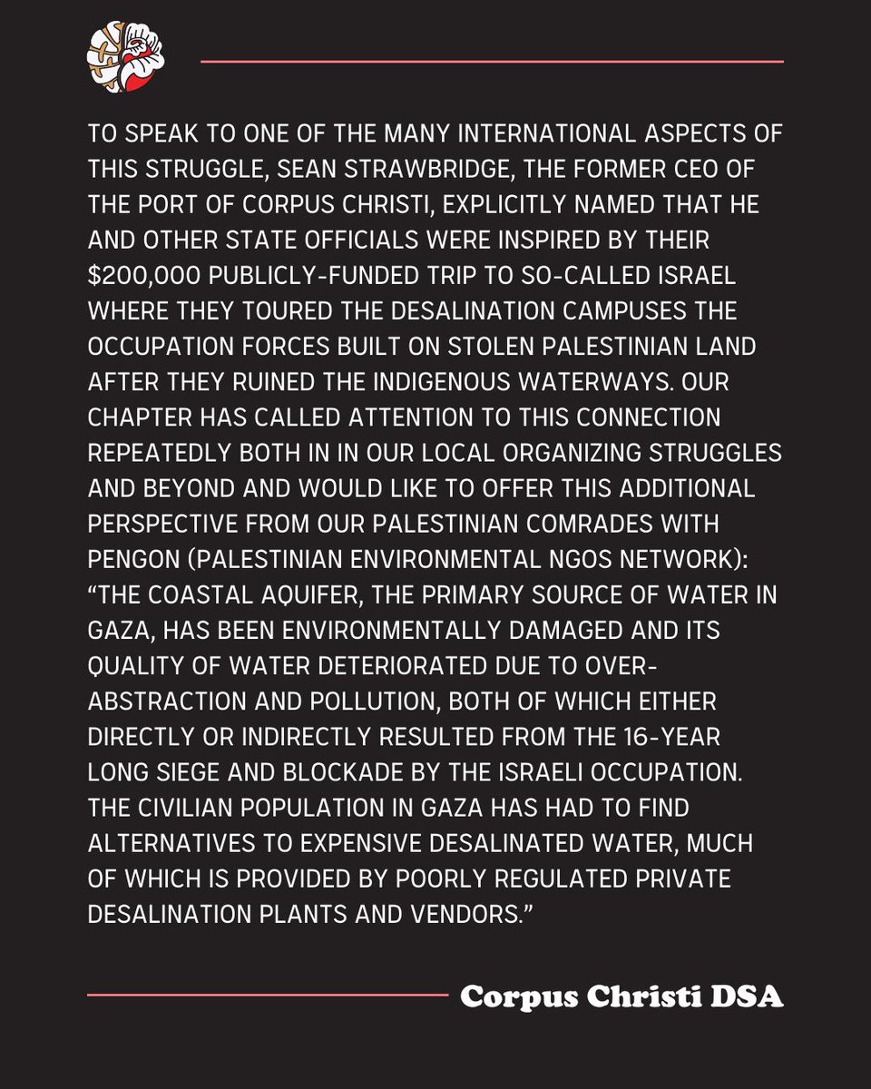 Corpus Christi DSA 🌹 tweet media