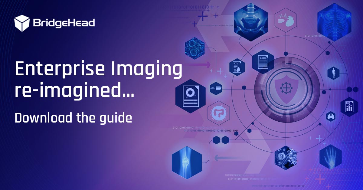 BridgeHead Software tweet media