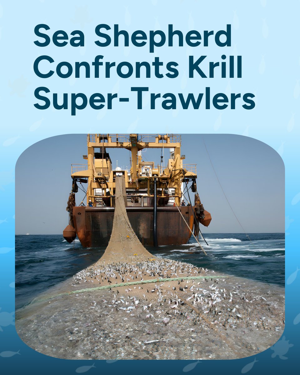 Wave Browser tweet media