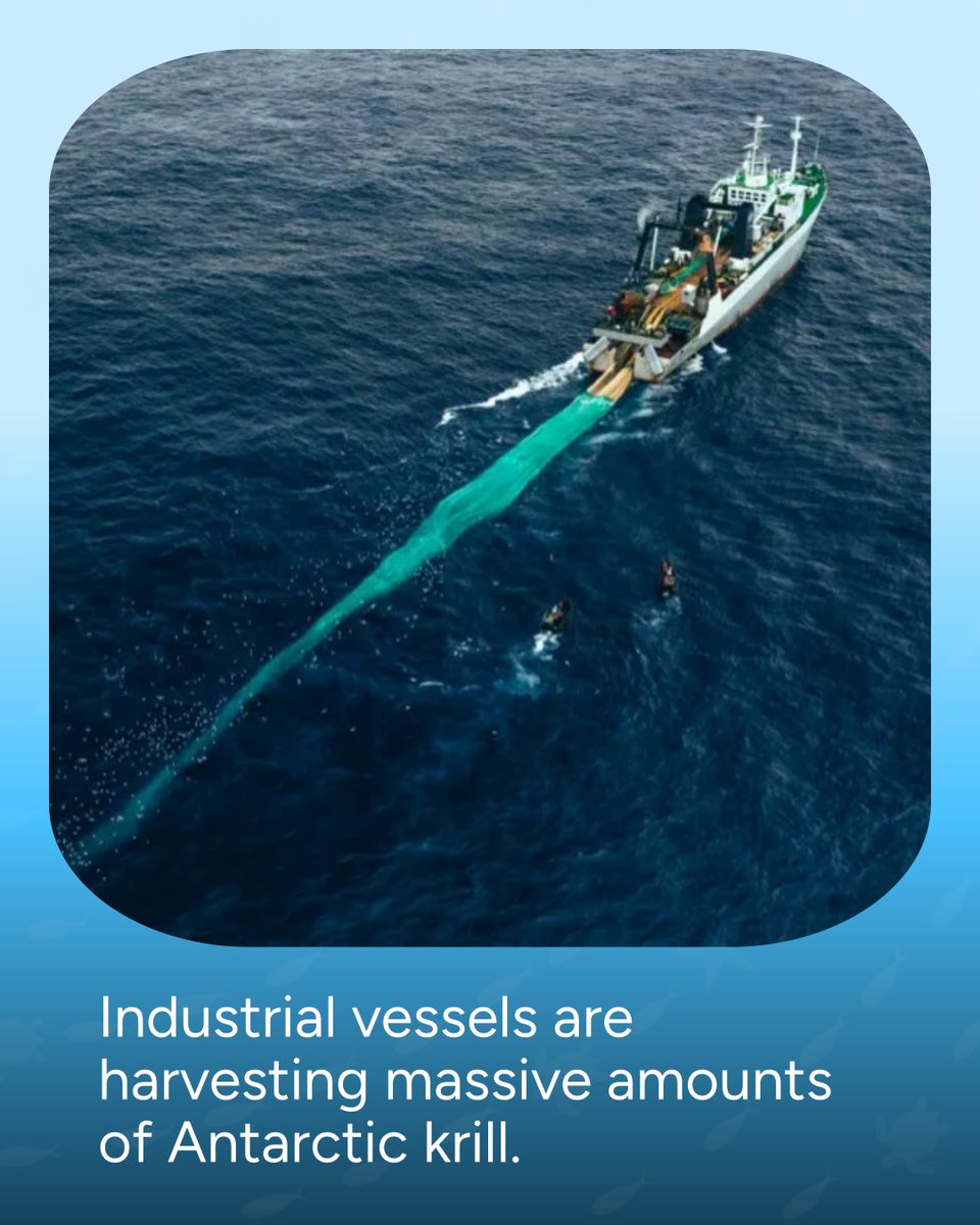 Wave Browser tweet media