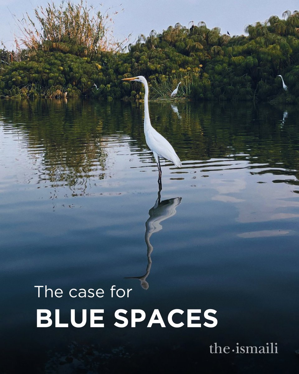 The Ismaili tweet media