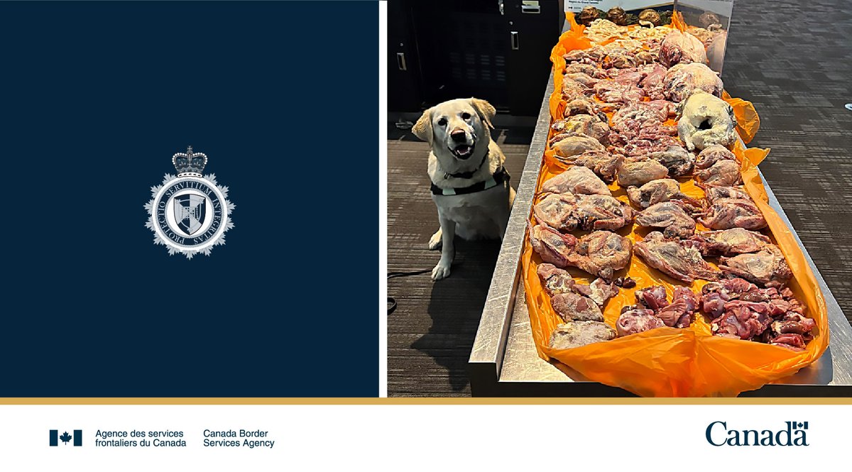 Agence des services frontaliers du Canada tweet media