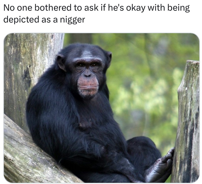 DoctorRommelhhxx tweet media