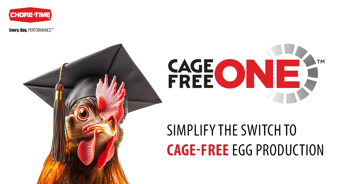 Chore-Time tweet media