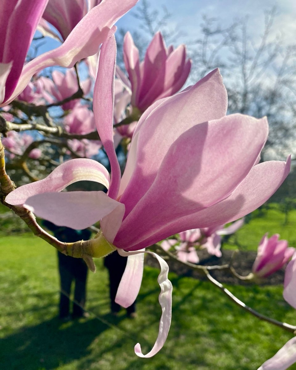 Geoffrey Munn tweet media