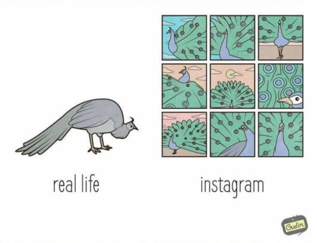 La vida en viñetas tweet media