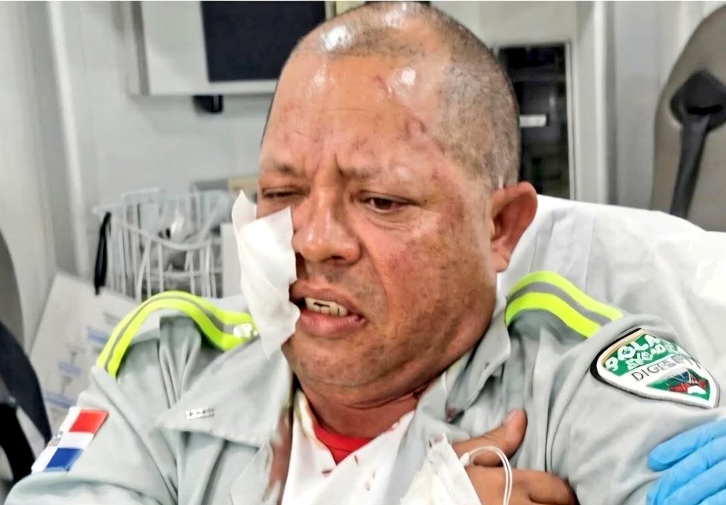 Dario Alexander tweet media