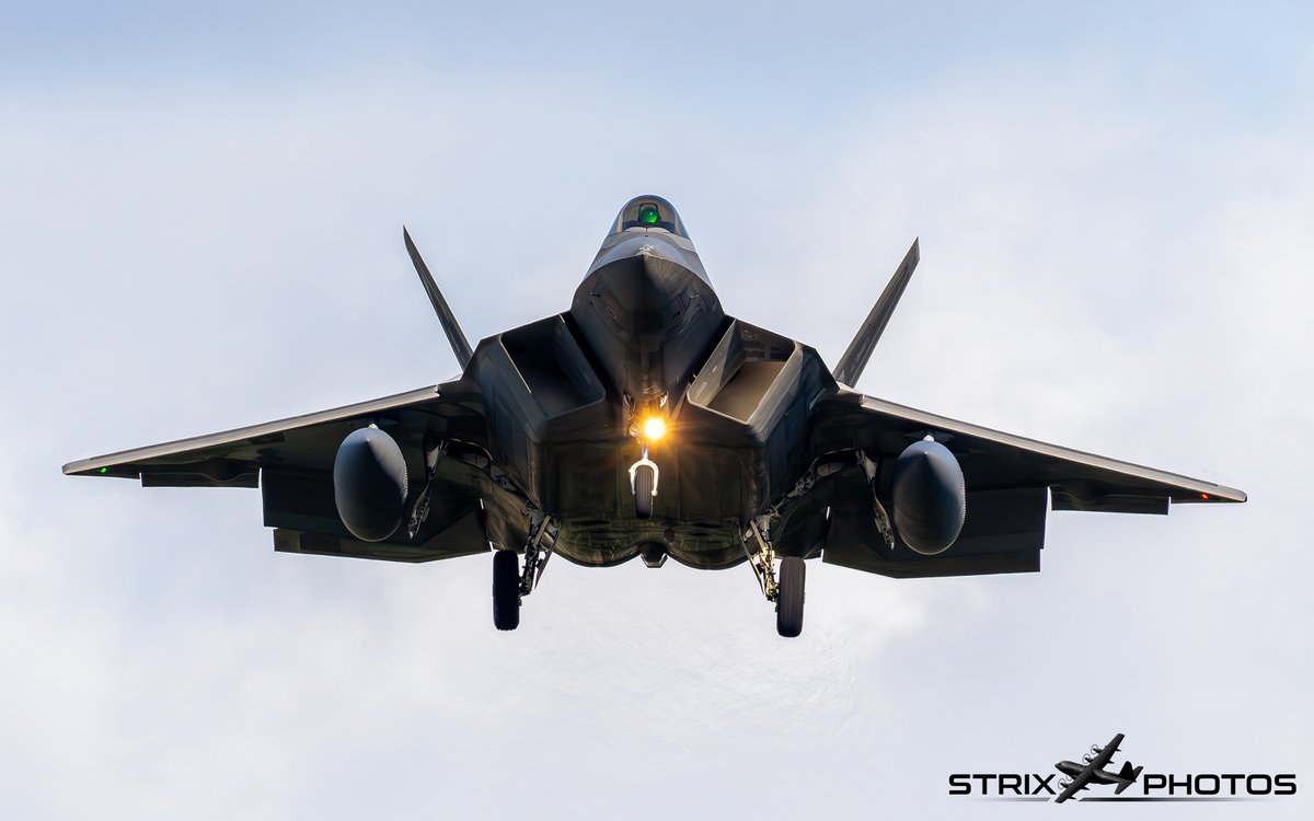 Strix Photos tweet media