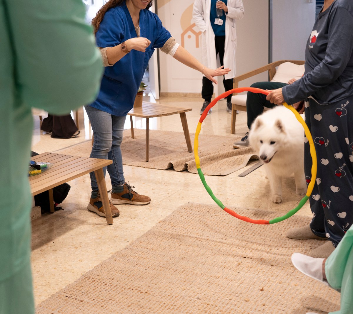 hbellvitge's tweet photo. 🐾 A l’#hbellvitge hem incorporat la teràpia assistida amb gossos per a pacients del Servei de Psiquiatria
Amb l’acompanyament de professionals i gossos especialment entrenats, aquestes sessions ajuden a: 

✨ a reduir l’ansietat
✨ millorar l’estat d’ànim
✨ facilitar l’expressió emocional

Les sessions faciliten els vincles entre pacients i professionals gràcies a un marcat caràcter participatiu i incrementen la motivació dels pacients per activar-se i implicar-se en activitats d’autocura.

📸 Mira aquí tot l'àlbum de fotos: https://t.co/41rXNLgEio

#Psiquiatria #HUBmanització #TeràpiaAssistida #HospitalBellvitge #BenestarEmocional #ICS @purina_es @ctac_cectac