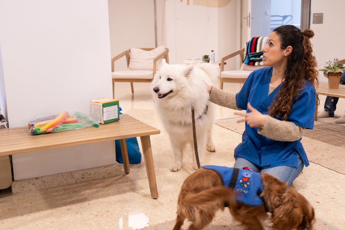 hbellvitge's tweet photo. 🐾 A l’#hbellvitge hem incorporat la teràpia assistida amb gossos per a pacients del Servei de Psiquiatria
Amb l’acompanyament de professionals i gossos especialment entrenats, aquestes sessions ajuden a: 

✨ a reduir l’ansietat
✨ millorar l’estat d’ànim
✨ facilitar l’expressió emocional

Les sessions faciliten els vincles entre pacients i professionals gràcies a un marcat caràcter participatiu i incrementen la motivació dels pacients per activar-se i implicar-se en activitats d’autocura.

📸 Mira aquí tot l'àlbum de fotos: https://t.co/41rXNLgEio

#Psiquiatria #HUBmanització #TeràpiaAssistida #HospitalBellvitge #BenestarEmocional #ICS @purina_es @ctac_cectac