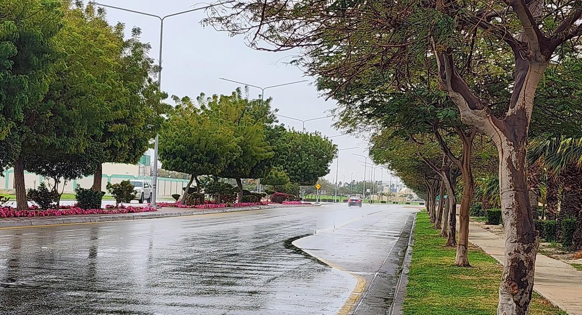 أخبار السعودية tweet media