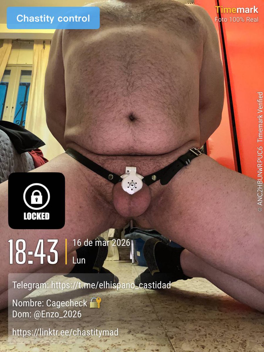 Enzo_2026's tweet photo. My faithful pig @3z_boson  always finds the perfect moment to report to his master like a good submissive. He is a good boi!

#chastity #malechastity #flatcage #invertedcage #uselessballs #cagecheck https://t.co/eVrLXsCMHv