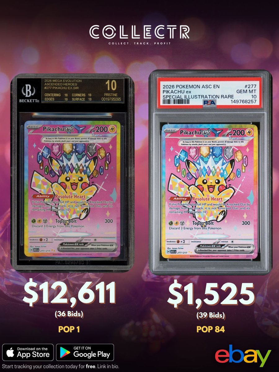 TCG Terminal tweet media