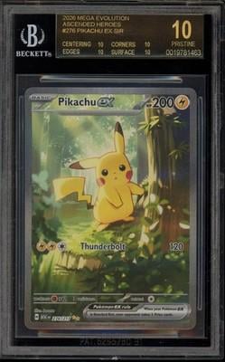 TCG Terminal tweet media