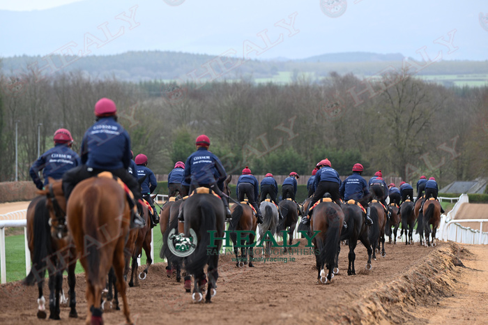 Pat Healy tweet media