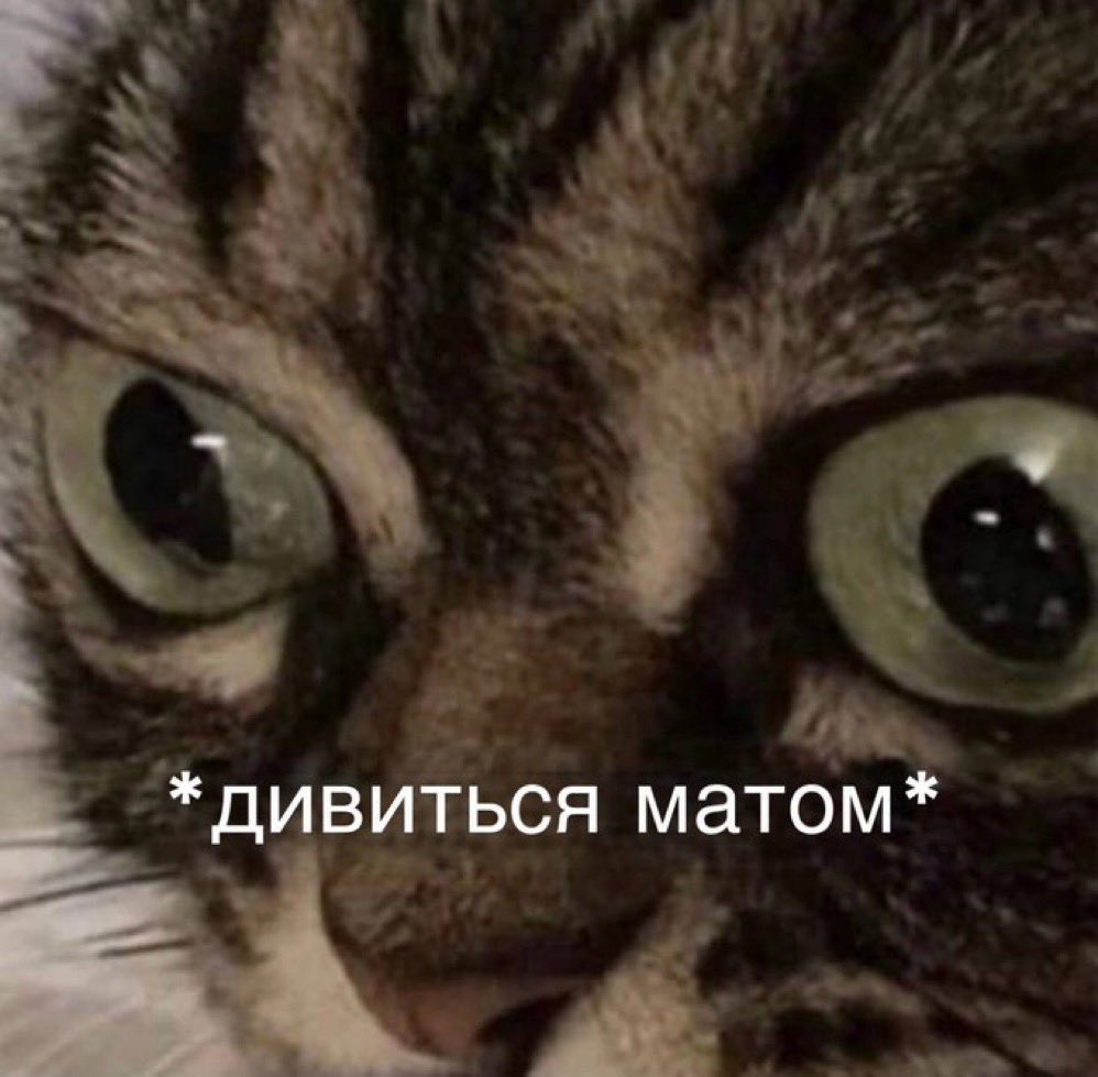 Степан Пантера tweet media