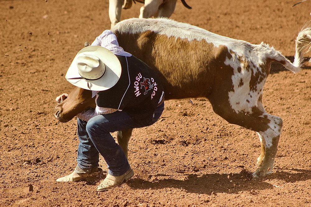 TwisTED Rodeo tweet media