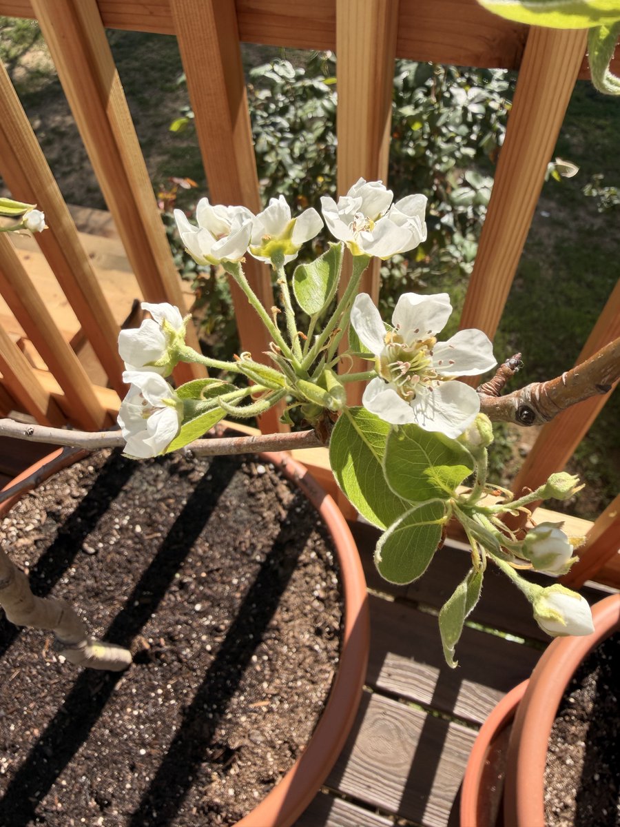 Oatmeal 🥣 tweet media