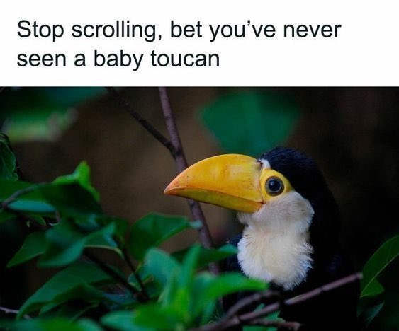 Good day to <a href="/AliceSt15359996/">Alice</a> <a href="/Harl3y5150/">Harley</a> <a href="/JenMistress/">Princess Jen</a> <a href="/Kbirdcat/">Kbirdcat</a> <a href="/Kathy_Porter/">Kathy Porter</a> and <a href="/taykay1992/">Taylor</a>