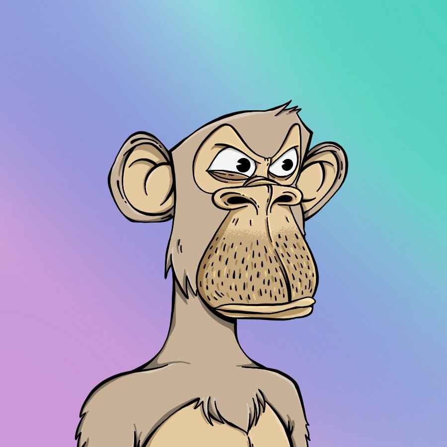 T🌐m 🦍 tweet media