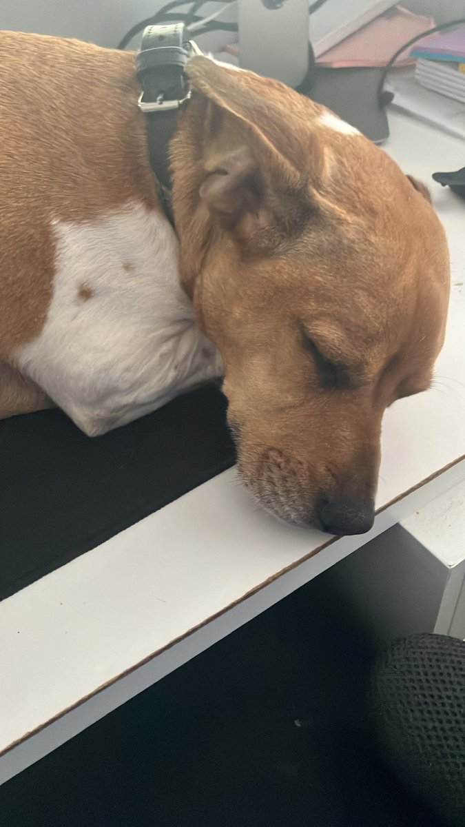 Tim Gale tweet media