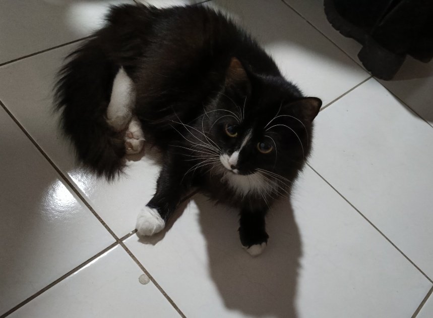 Miss Conduct 🍎 tweet media