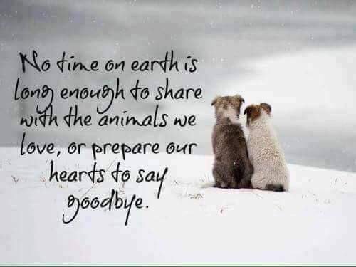 re:printed 3D tweet media