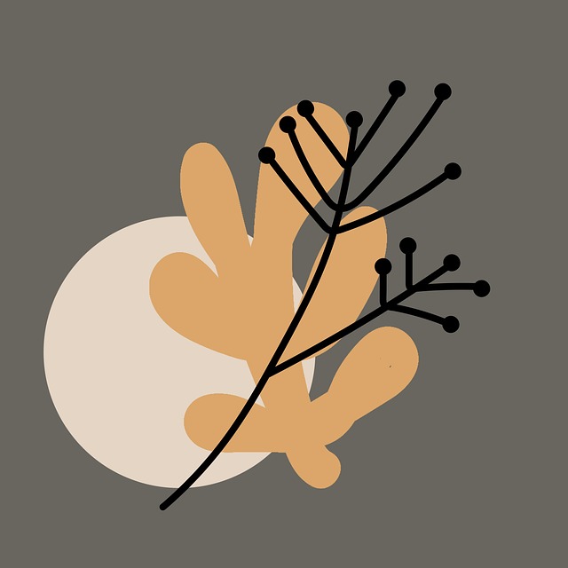 Lisa Andrus tweet media