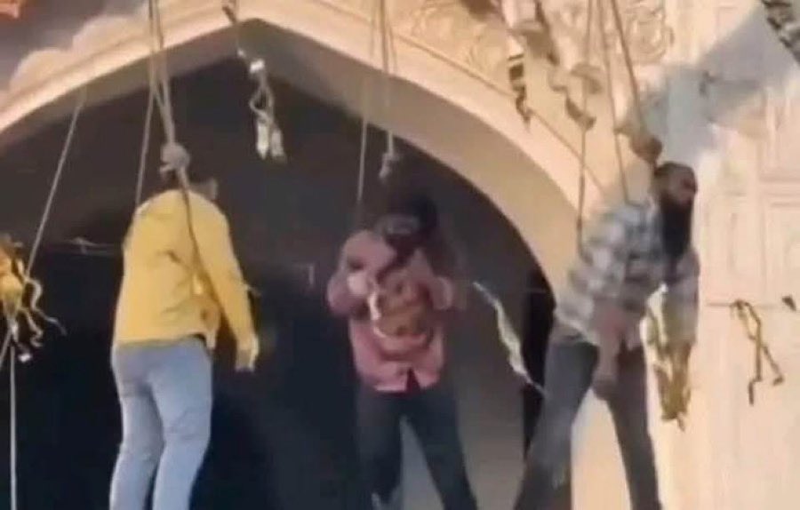 HJB News tweet media