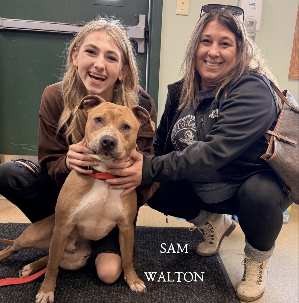 Pilots N Paws tweet media