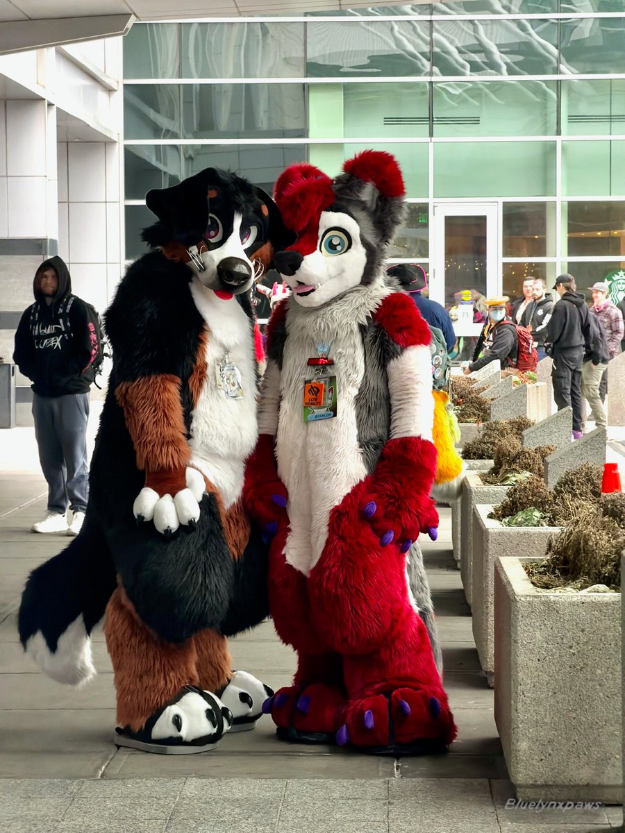 July @ TFF tweet media