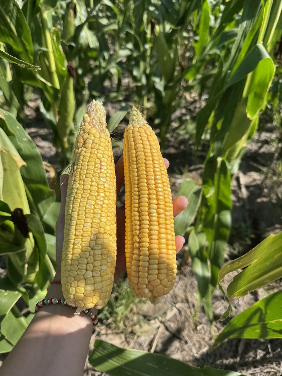 ♥ Floor ♥ tweet media