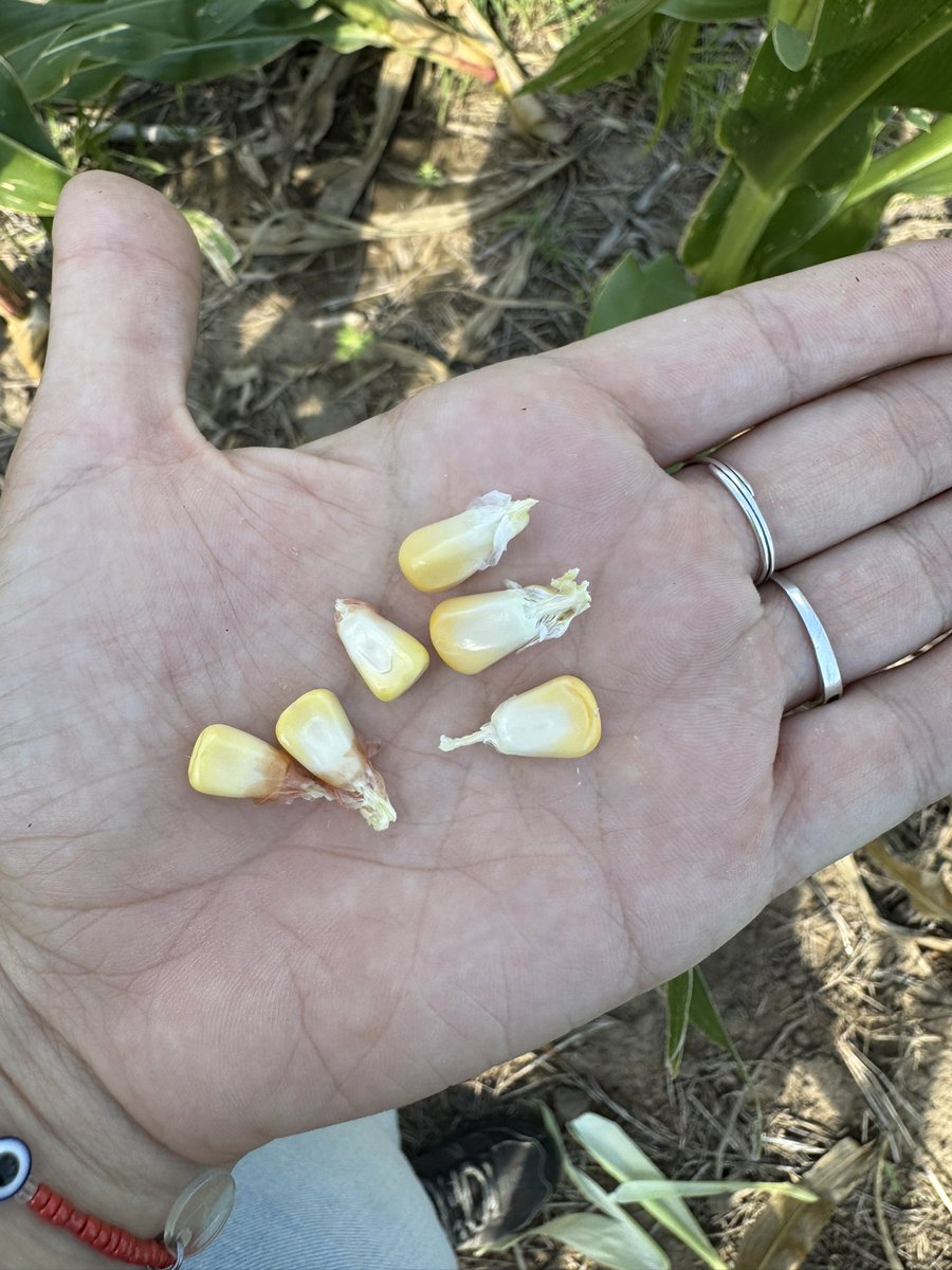 ♥ Floor ♥ tweet media