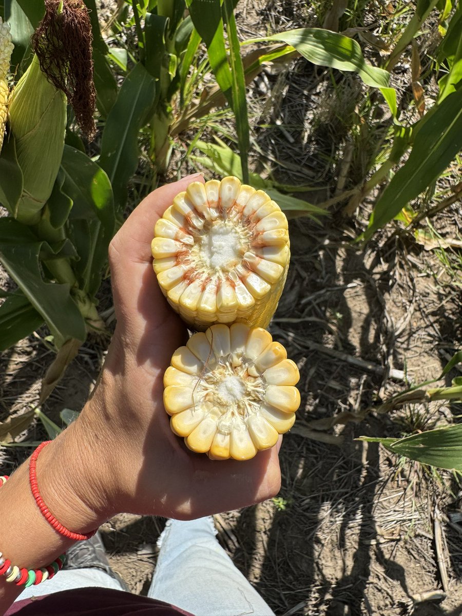 ♥ Floor ♥ tweet media