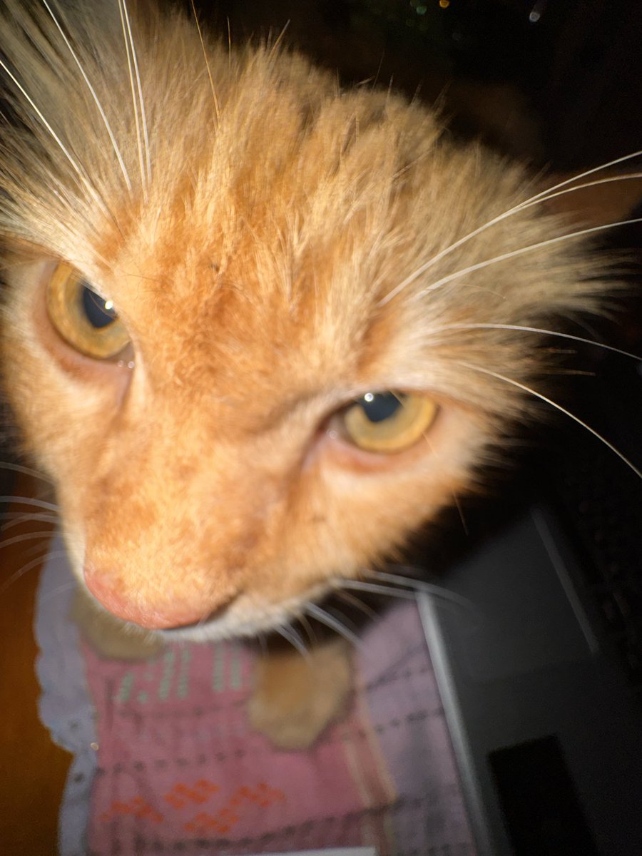 H-36 UTBK🗓️🔥

Latsol subtes favorit kita semua. ak latsol kesebangunan,geometri,dan barisan geometri