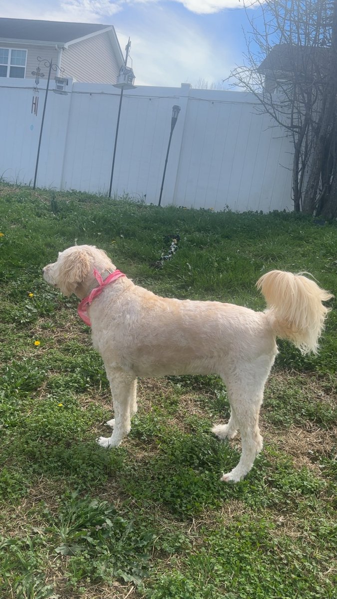 Austin Hill 🤙🏻 tweet media